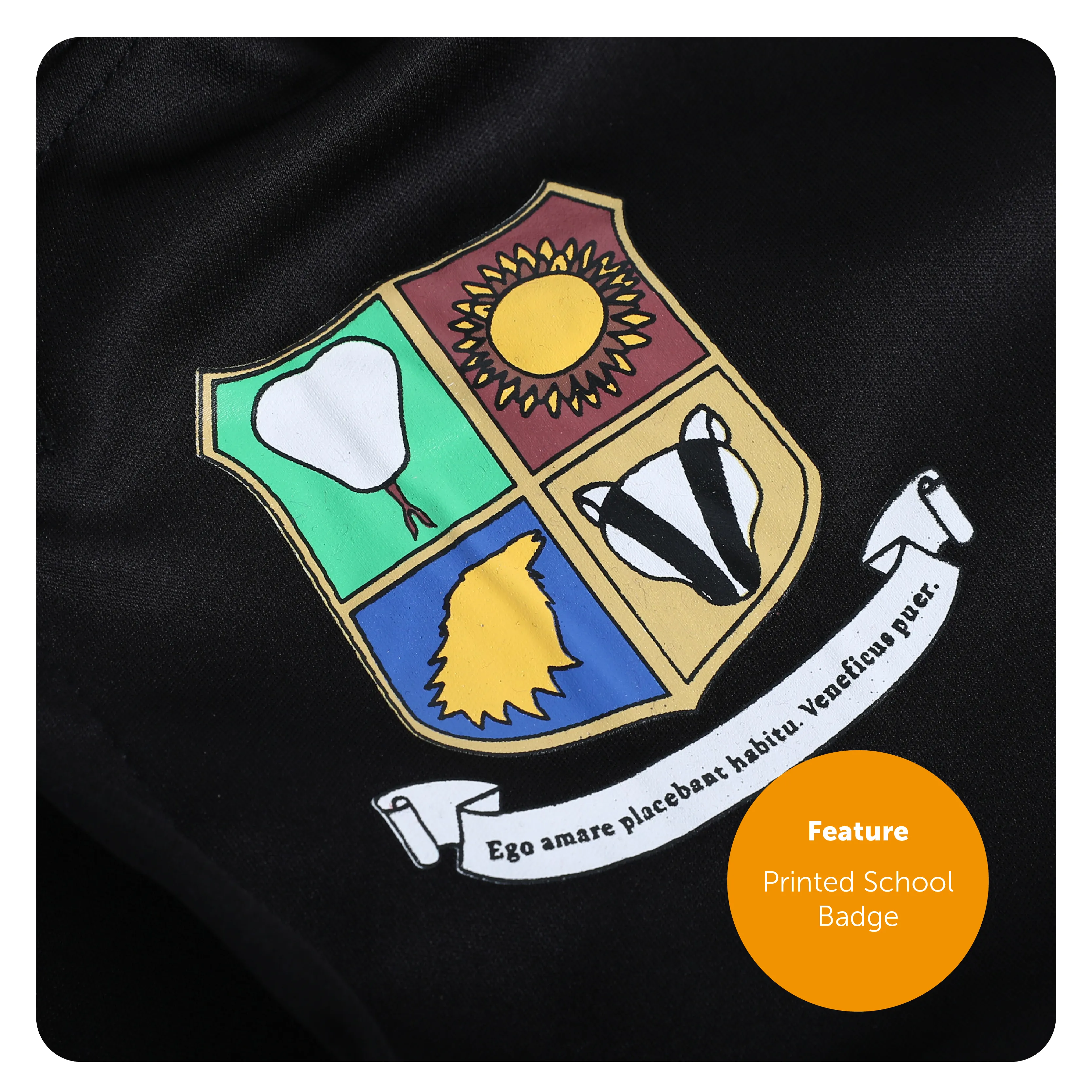 20474484-2526-498d-bd94-8588a24c0879