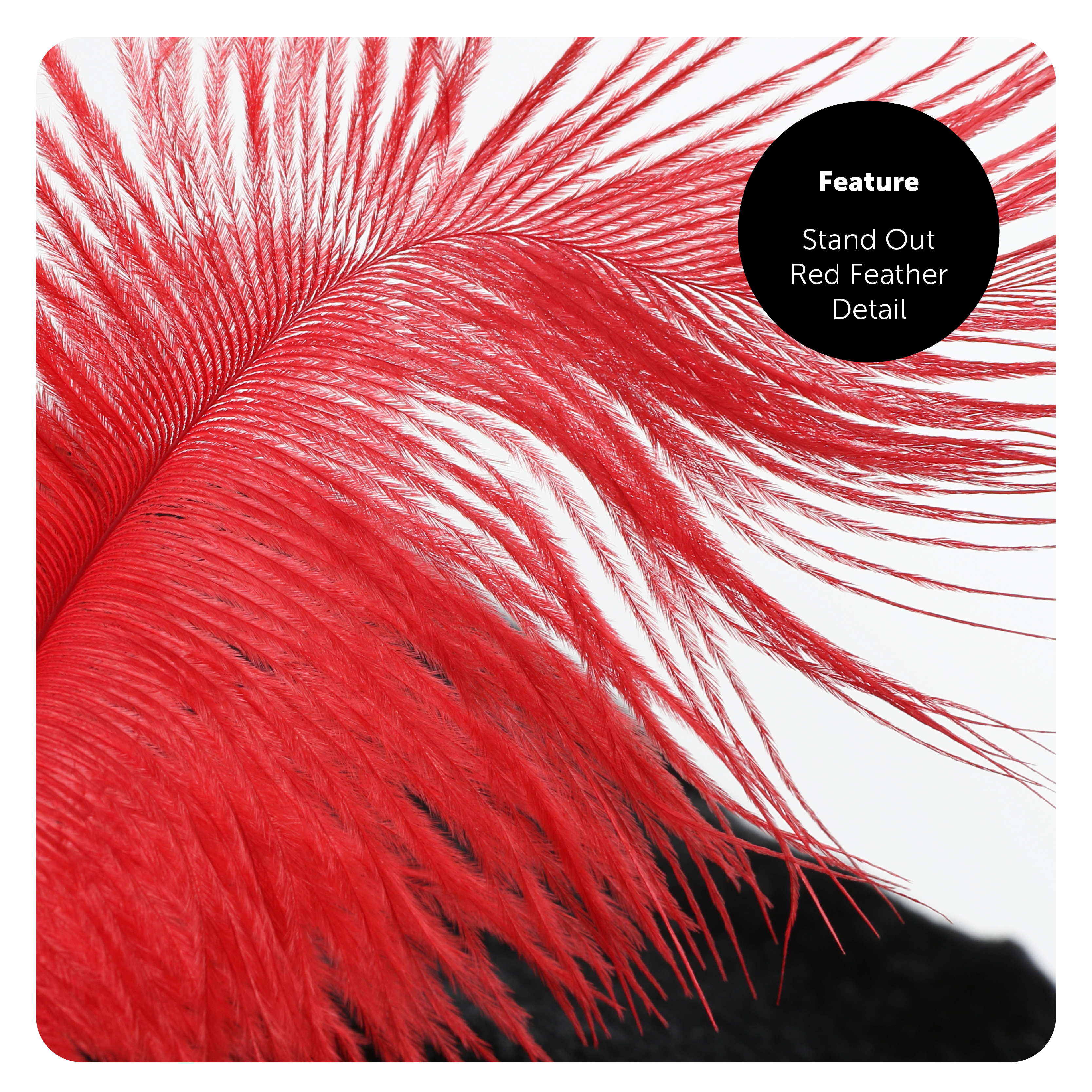 c1ae9196-24d1-4459-8fb4-265cfb8acf92