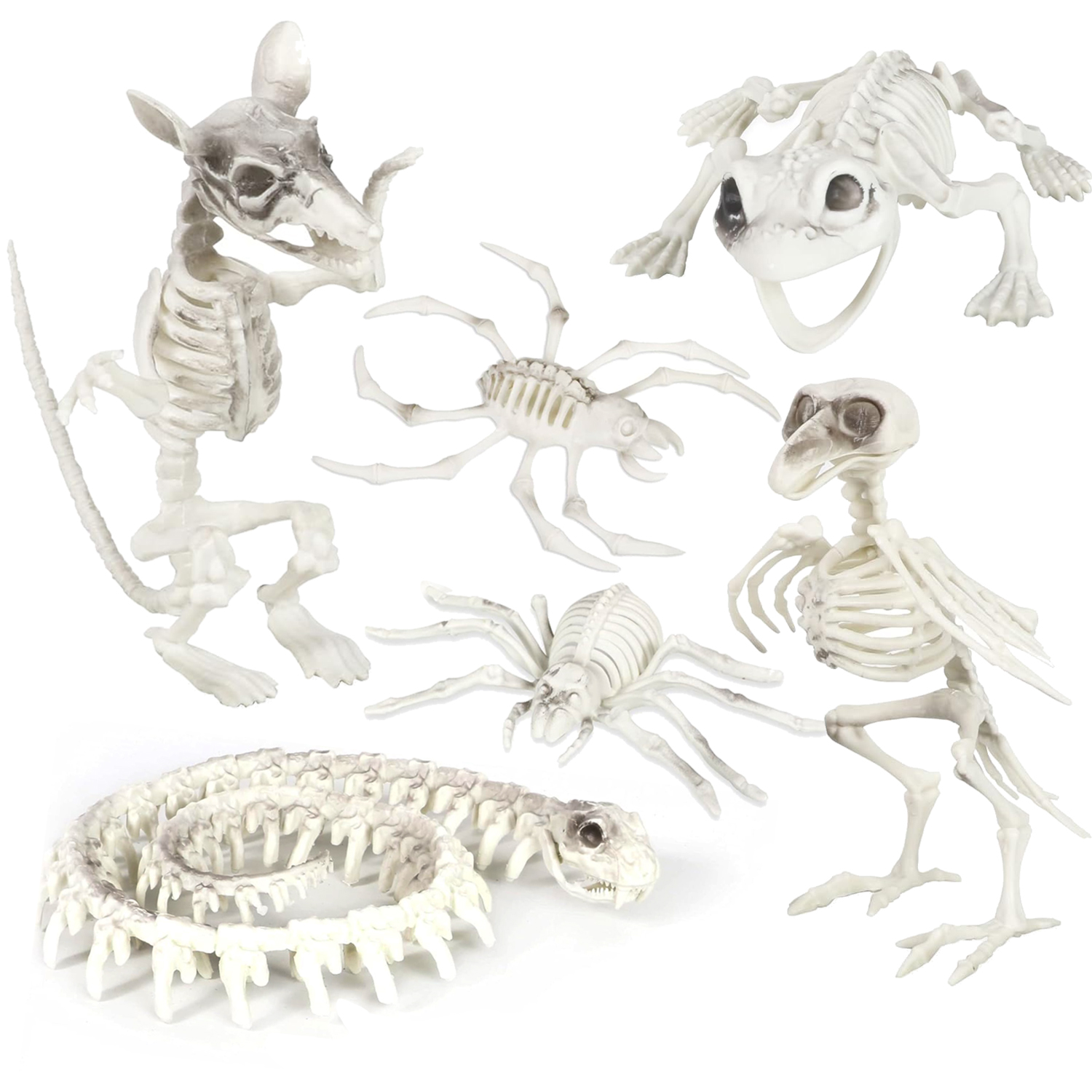 Plastic Animal Skeleton Pack | 6 Pcs | Snake, Spider, Crab, Crow, Frog & Rat