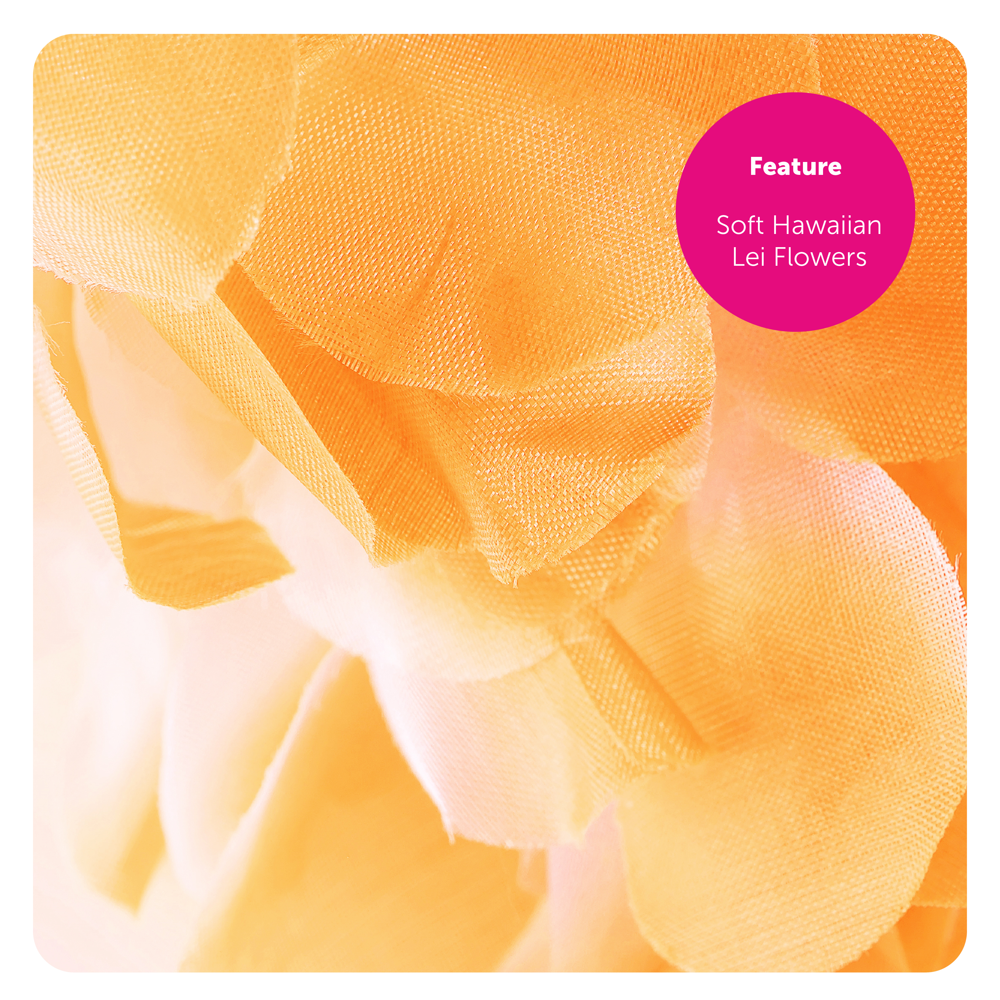 6f5199a7-ffa1-450f-bb06-76c14d5342c5