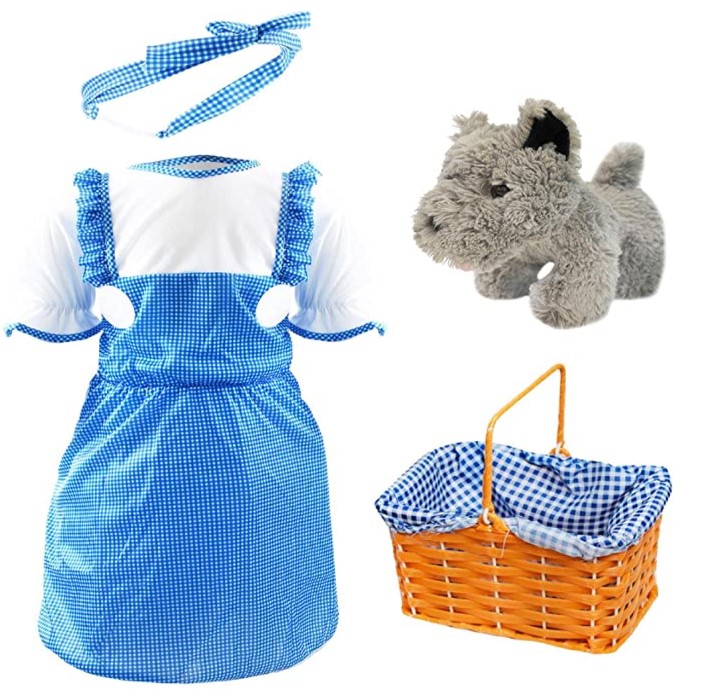 Girls Dorothy, Dog and Basket Fancy Dress Costume