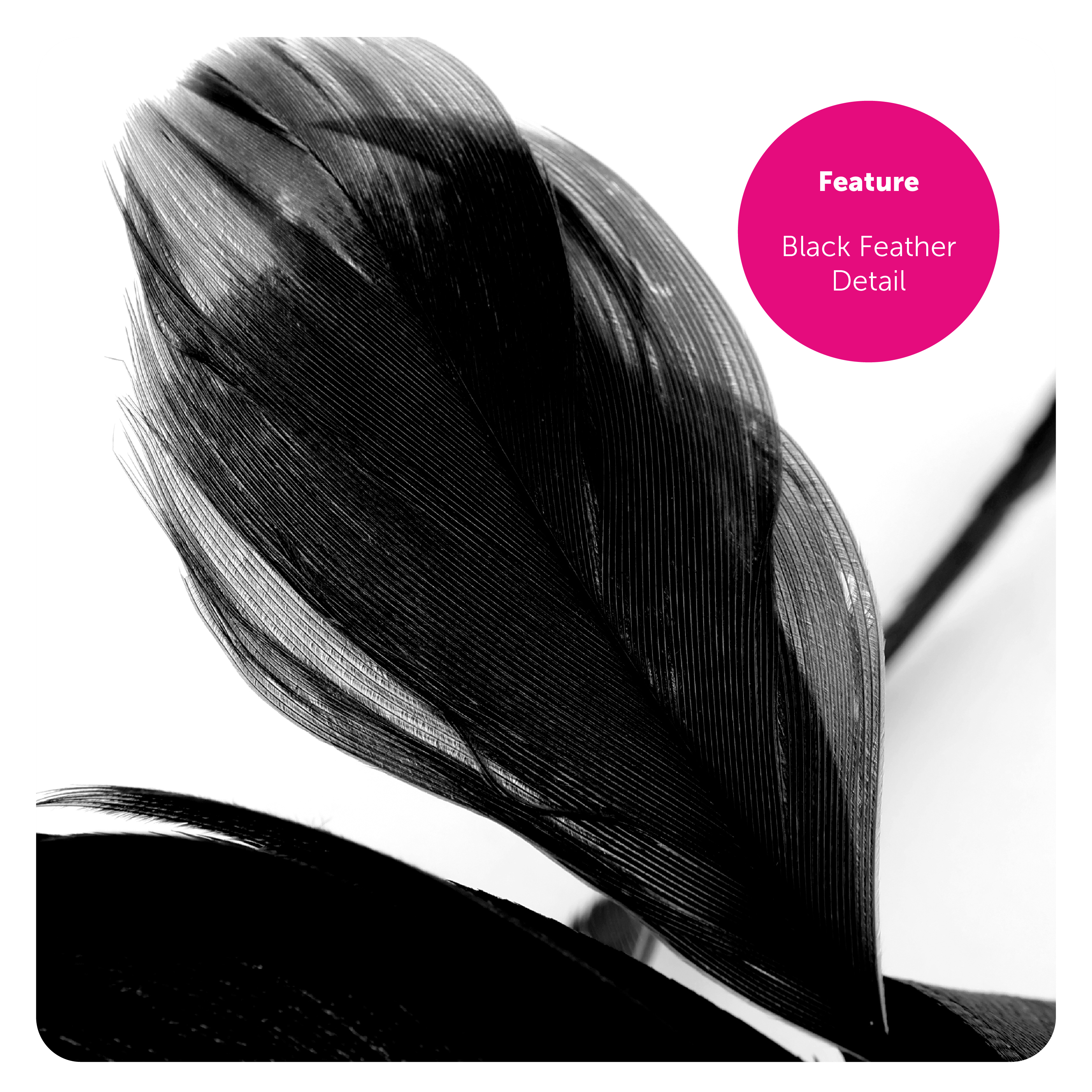 6d5aaa7b-83c2-450c-9834-3b9cc60543eb