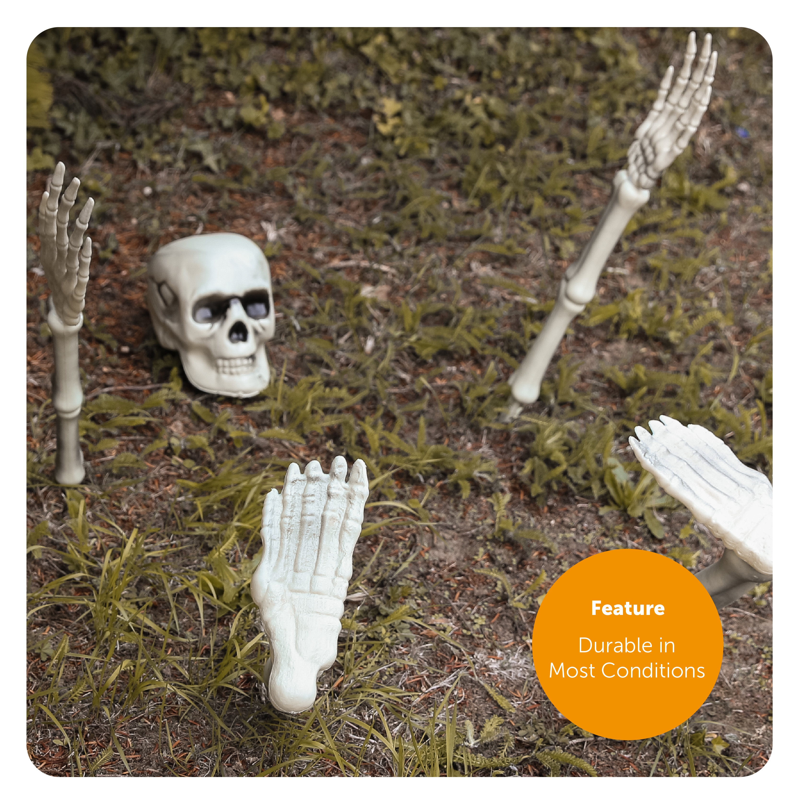 daa371d3-6991-4106-8554-8fe1b04c9be6