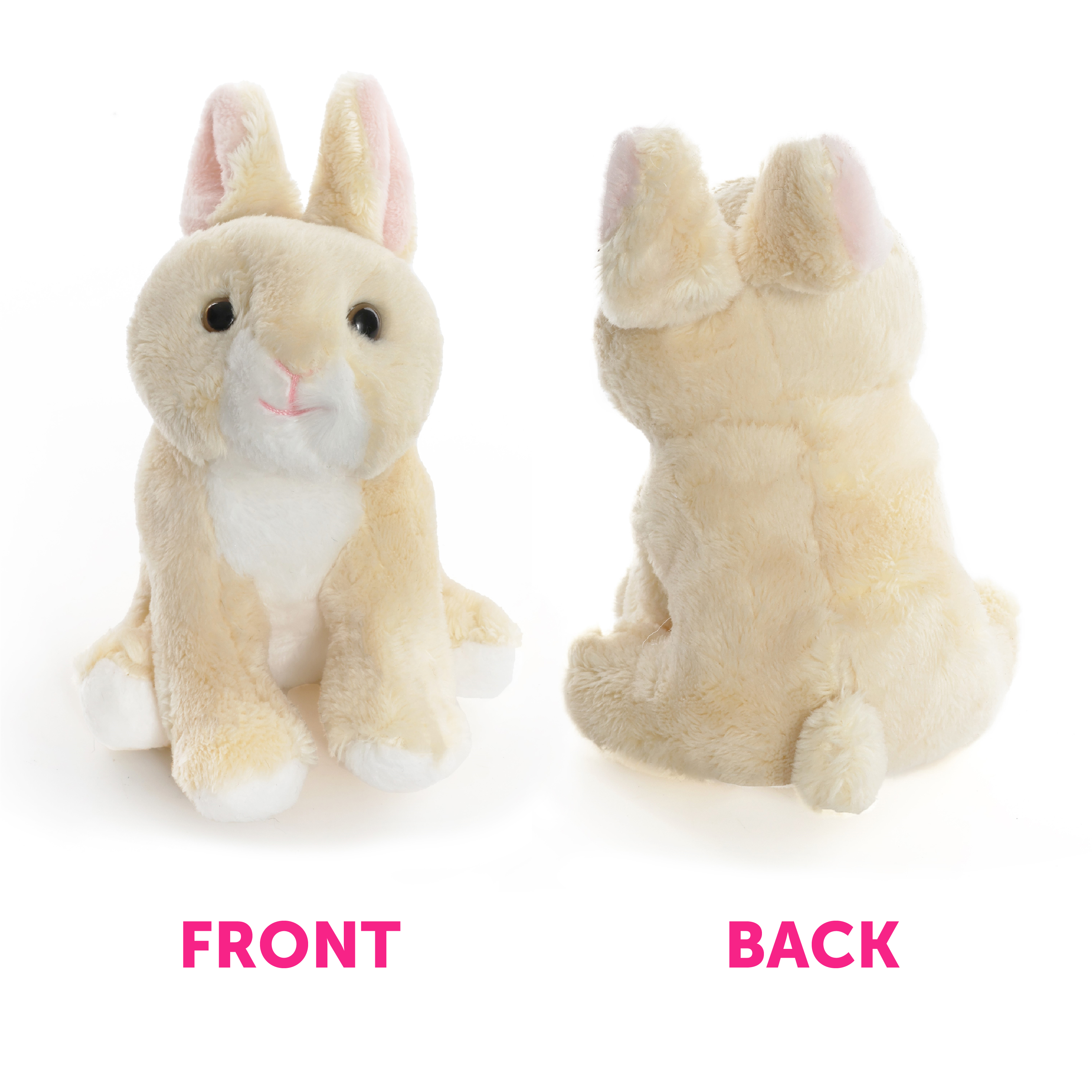 8d89c4cd-1864-4a38-ae64-8c36bb554149 (1)