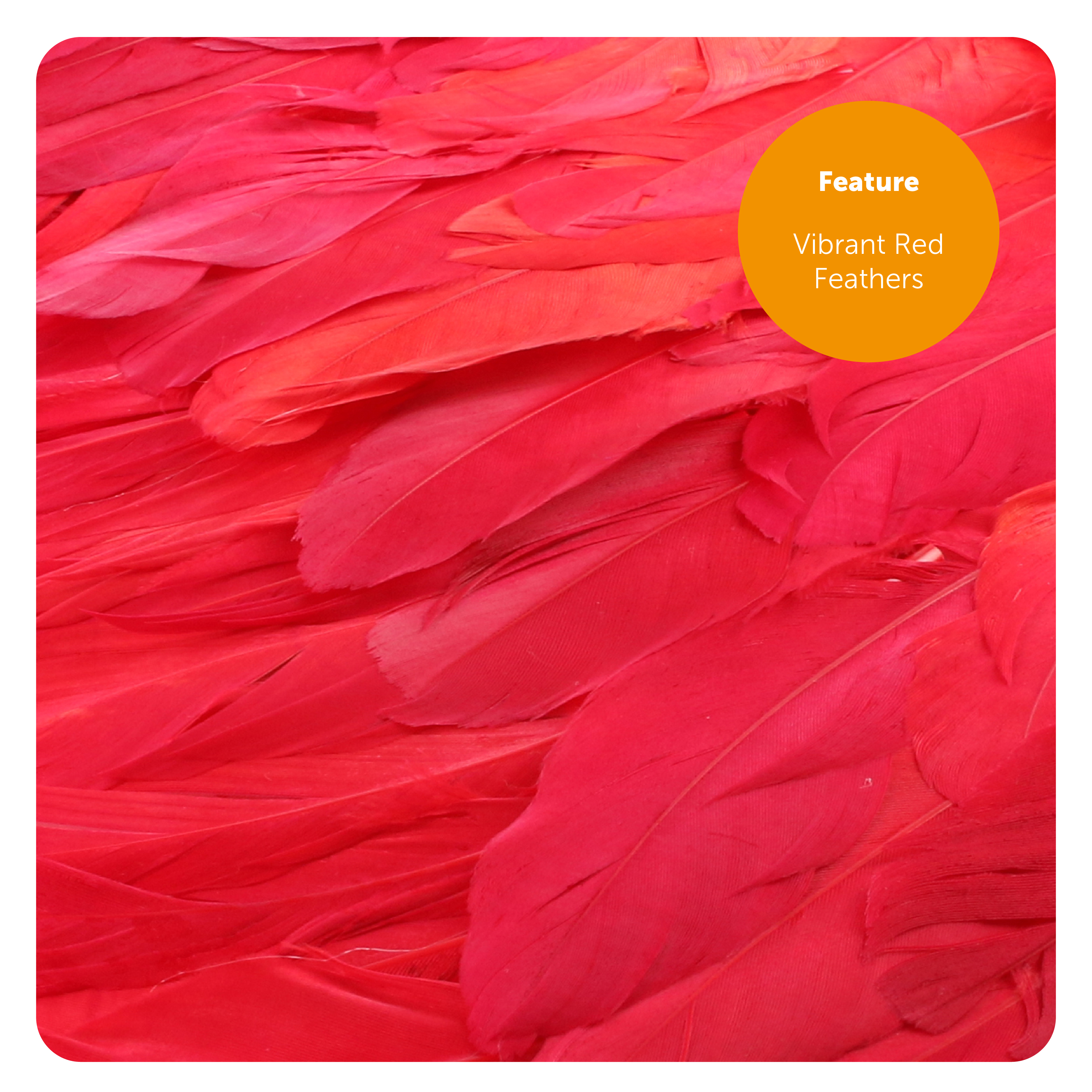 31cfb0fc-397c-4486-bd53-4e3d9622c8d7