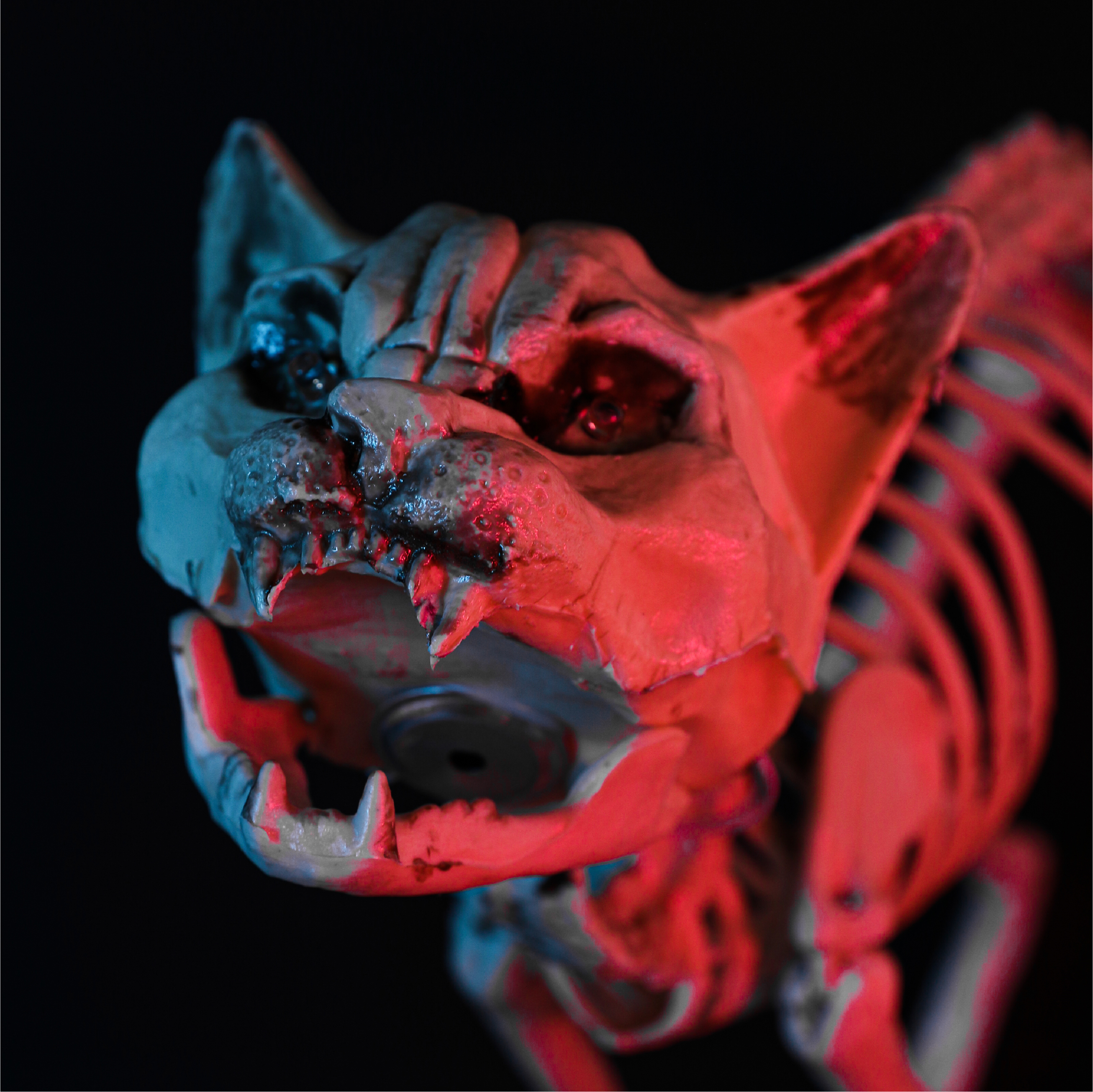 e6fcef73-ce08-4cd8-b19c-4ceed3e583f9