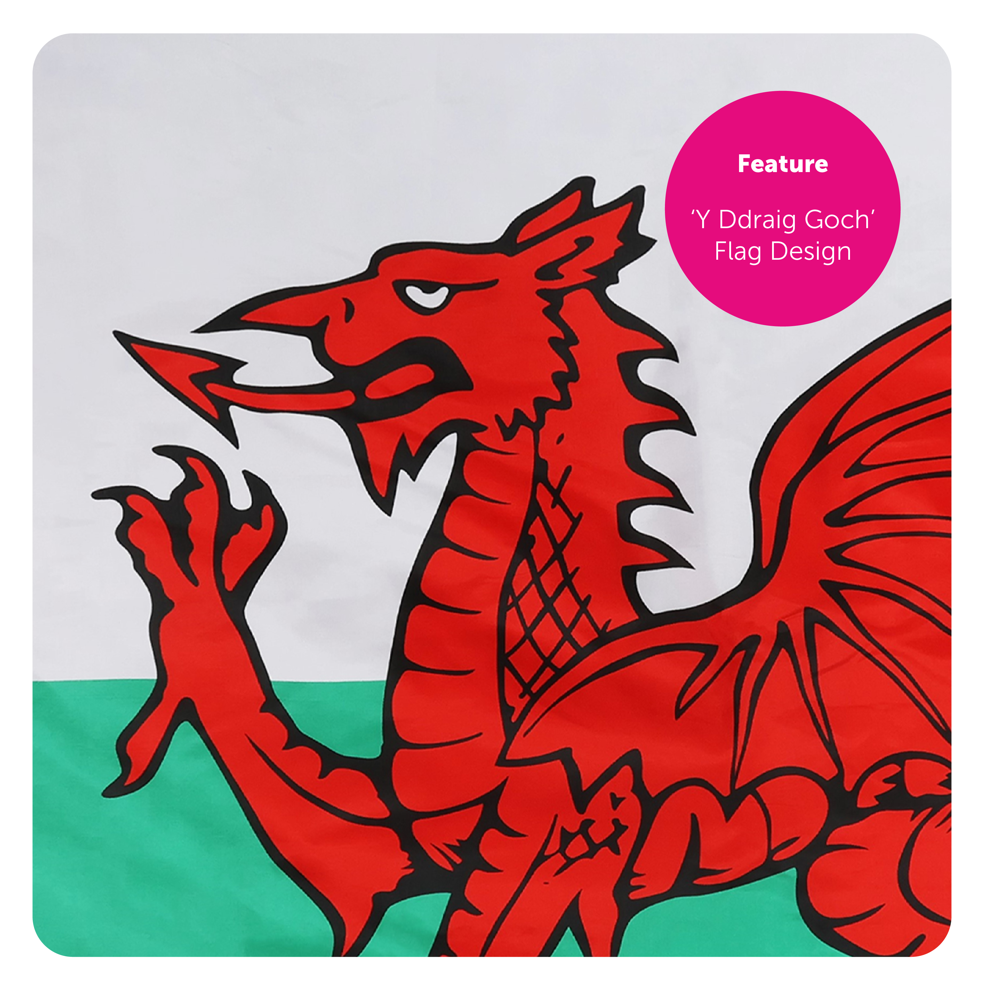 58950785-f3d2-4200-9e44-57342805d79a (1)