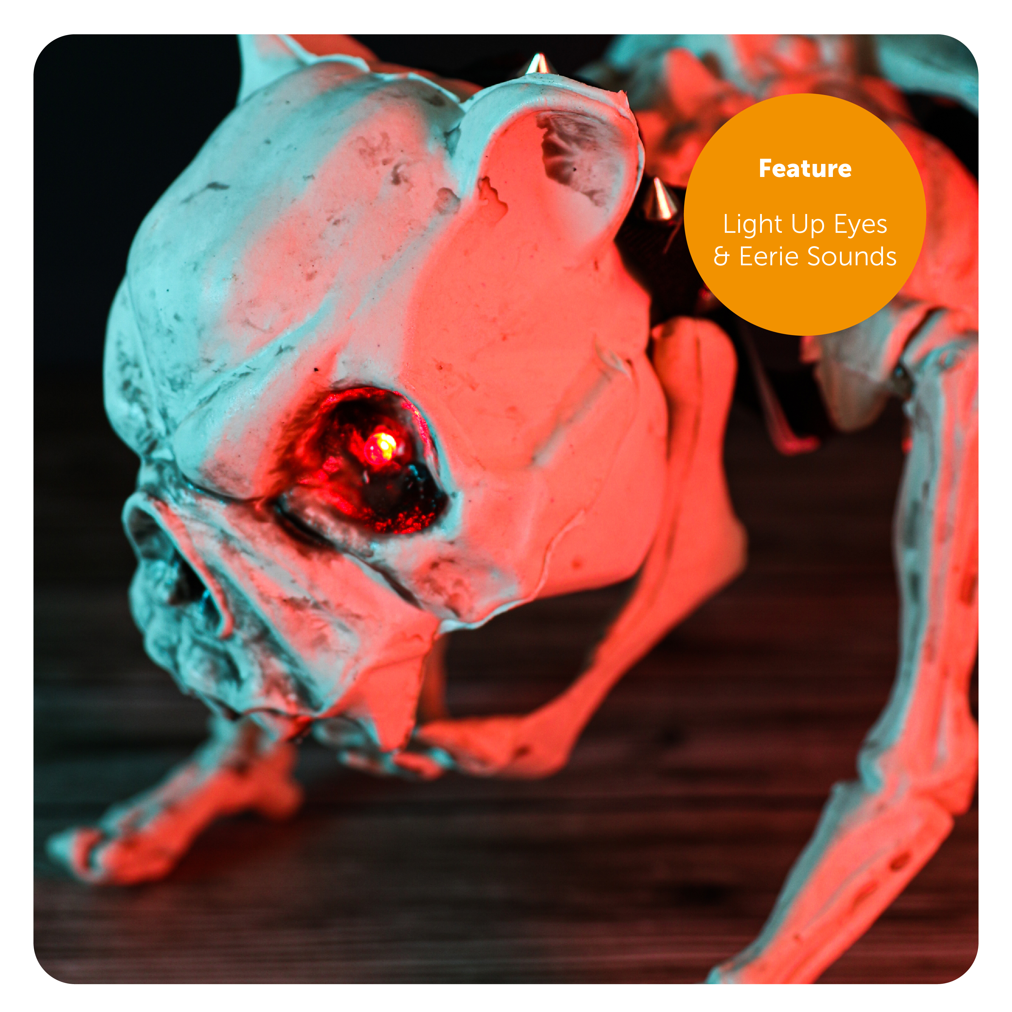 094edd5d-3cfe-49eb-84b4-62ab91fca433