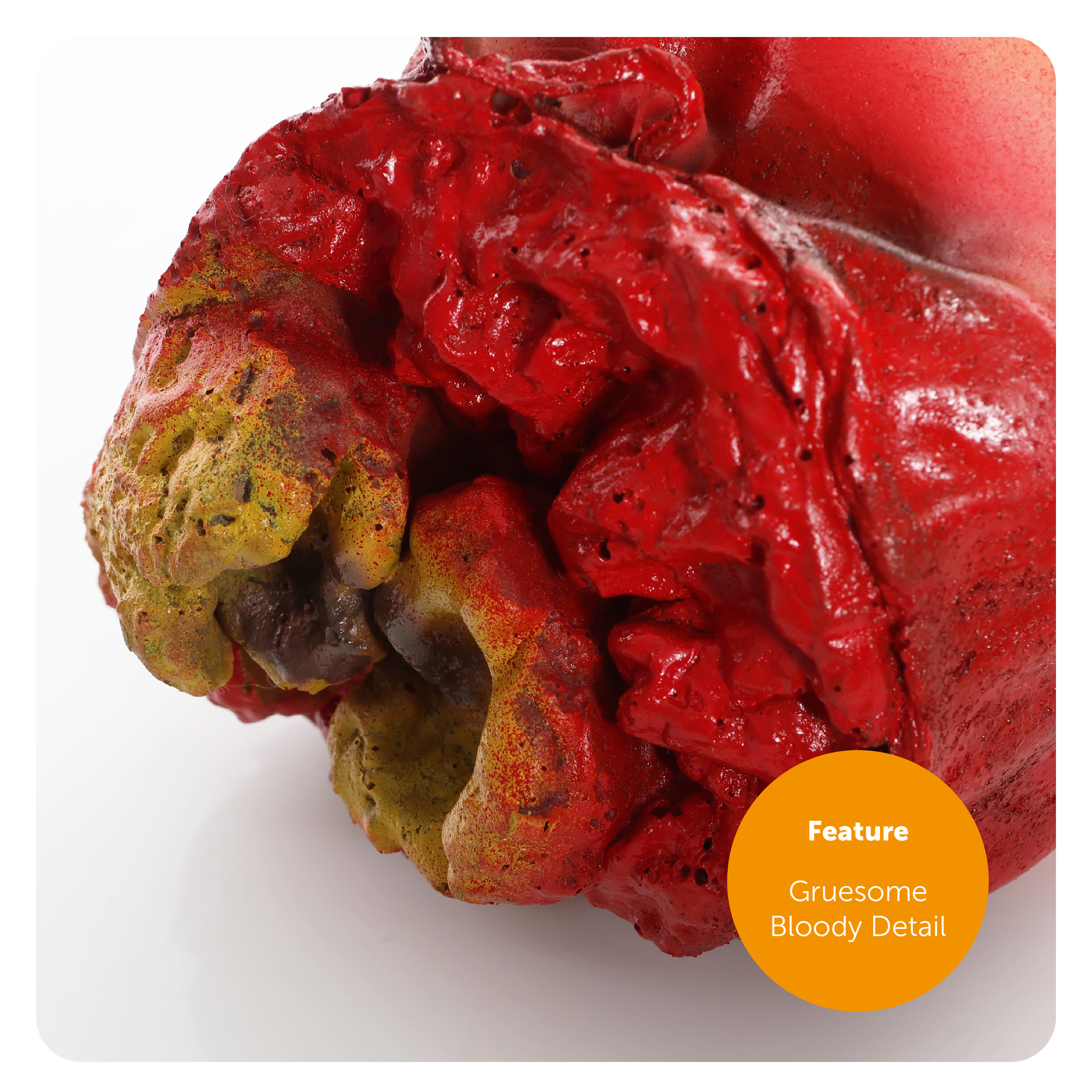 a89f812d-e669-47e8-b725-34e7d70e7a1b