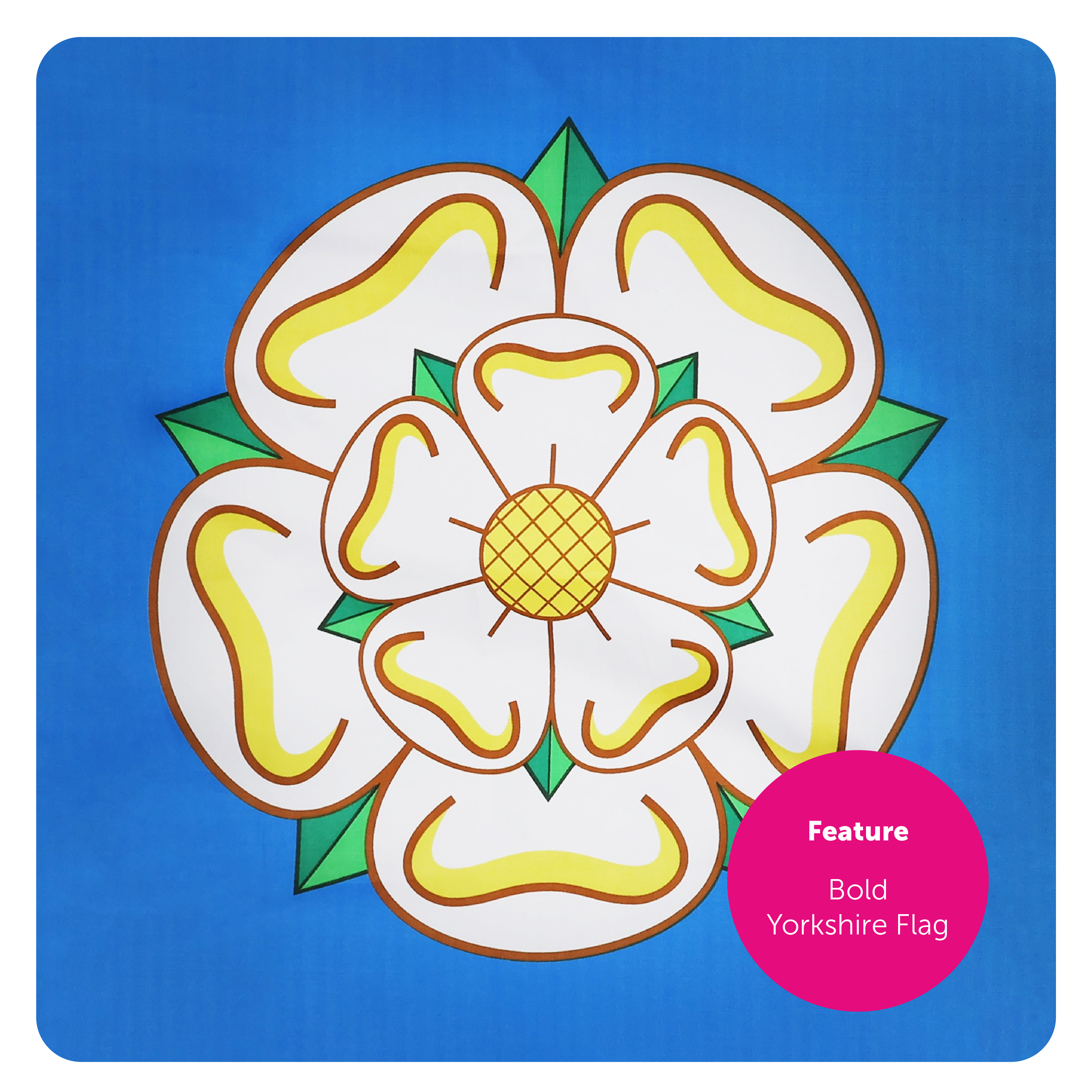 4778f199-06c0-4f1a-b046-1b712d10f601 (1)