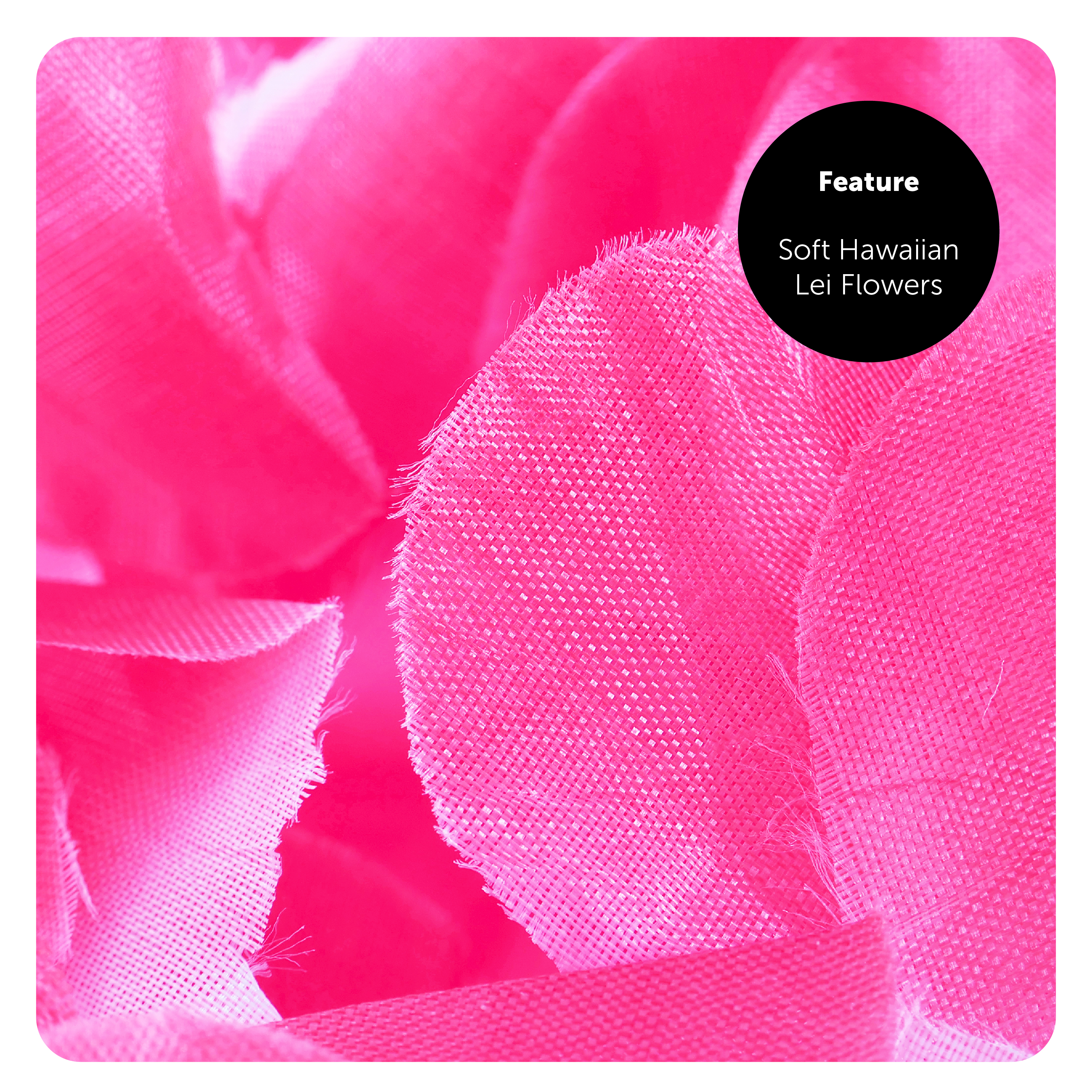 dc21b6ac-a7d8-4245-a544-6bded011ec31