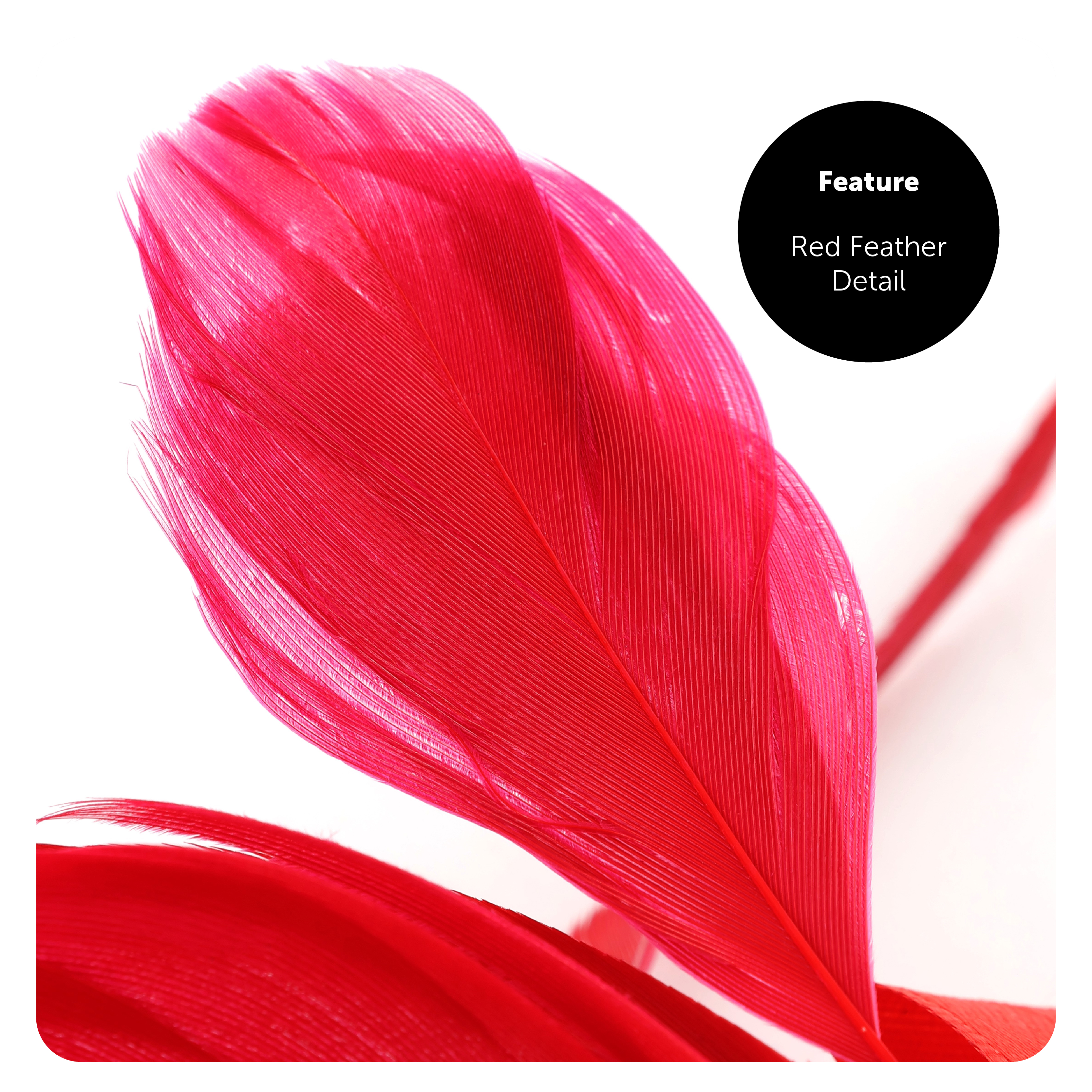 0f904c0d-4b31-408a-b876-f0a9a8342811