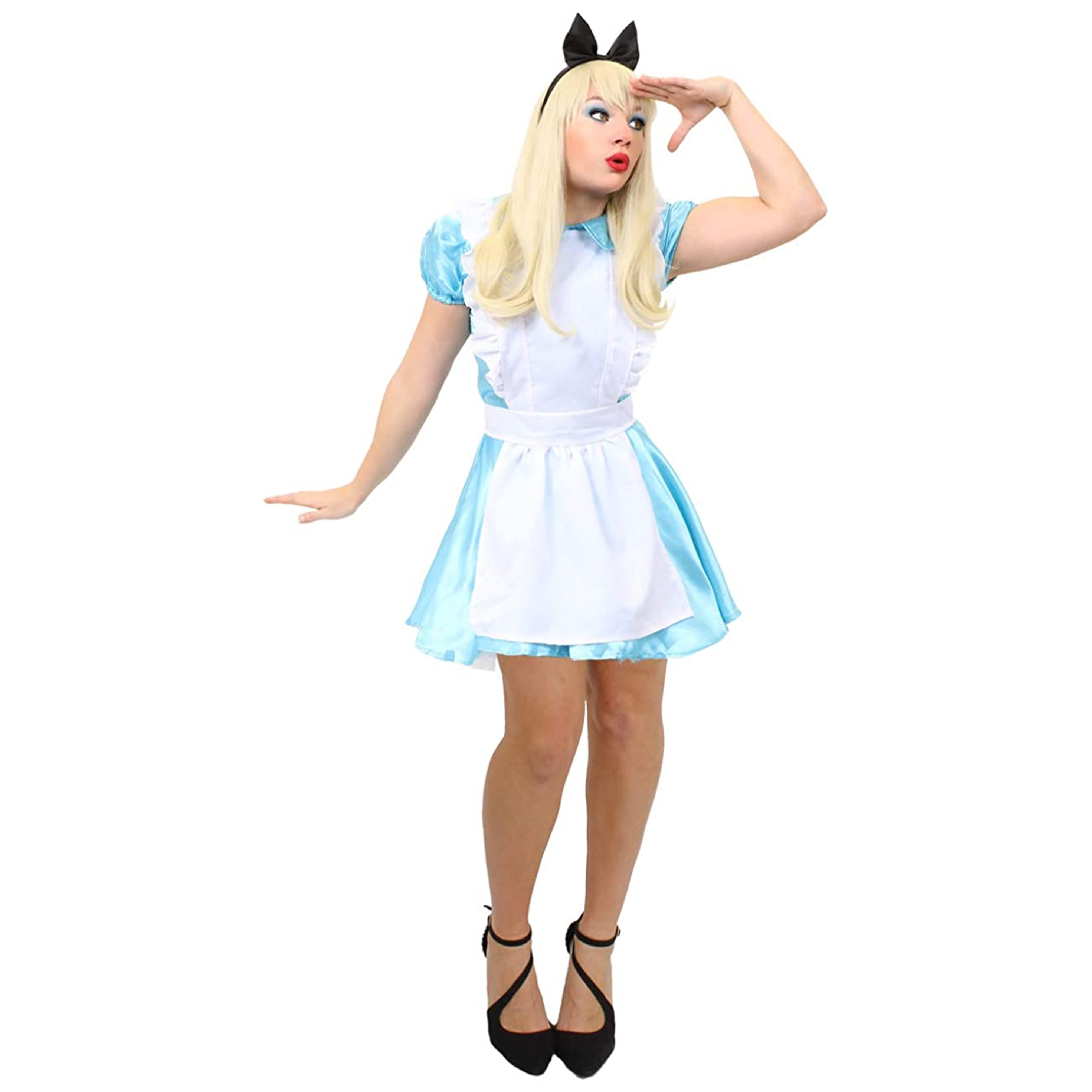 Ladies Alice Dress Costume