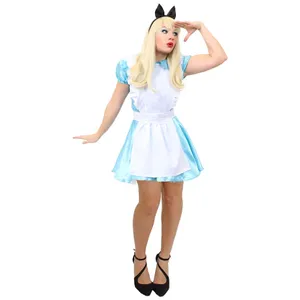 Ladies Alice Dress Costume