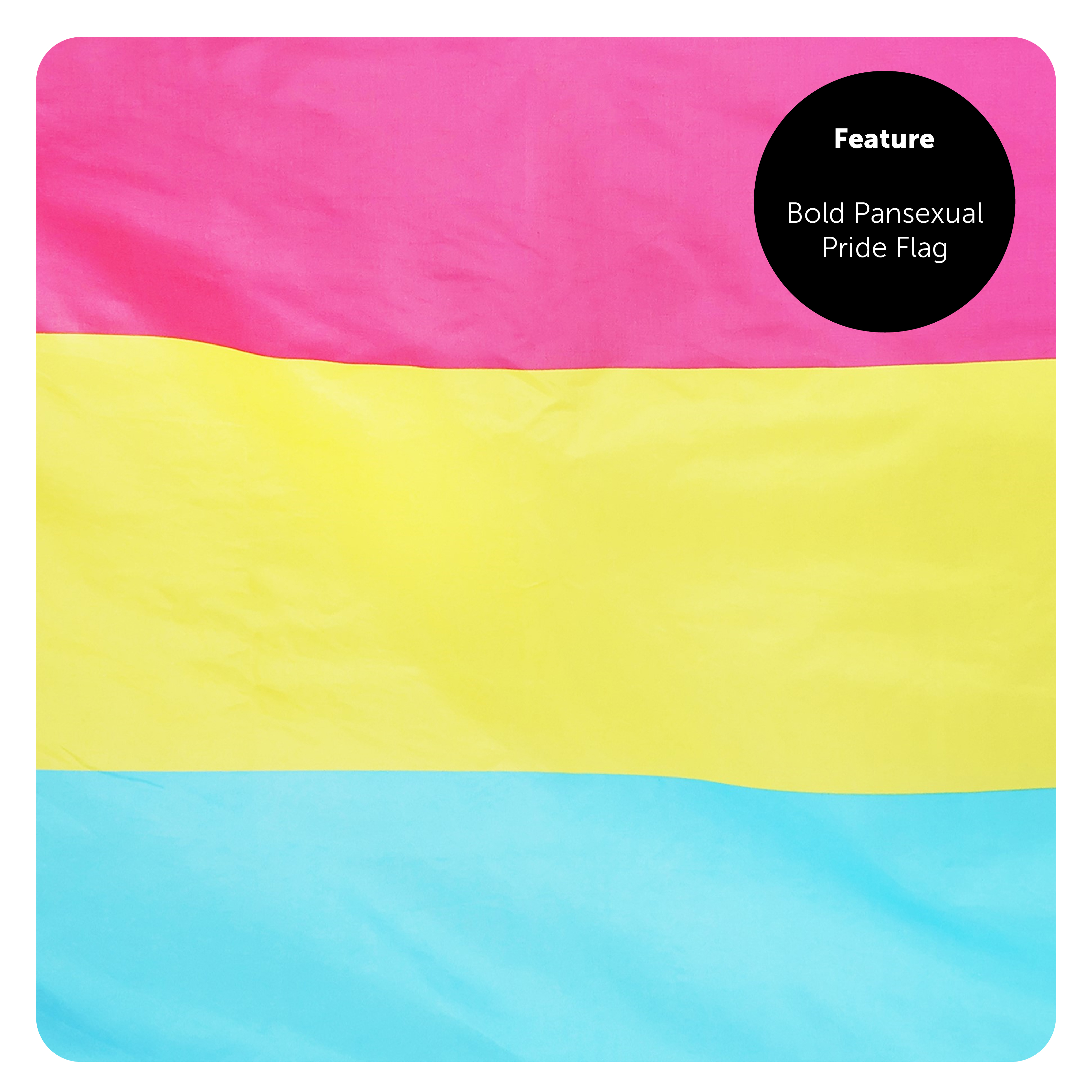 Large 5ft X 3ft Pansexual Pride Flag | I Love Fancy Dress
