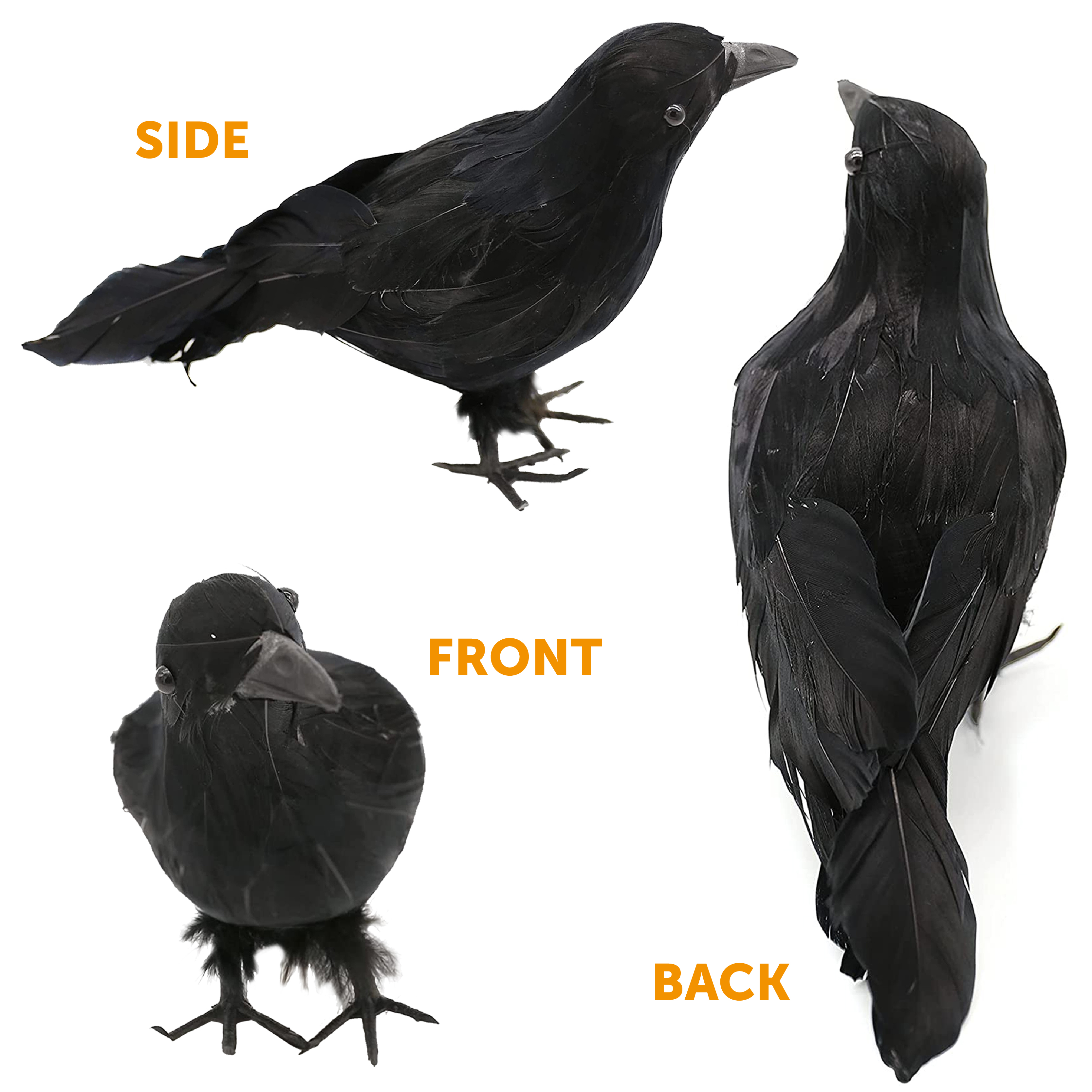 Halloween Black Crow Decoration | I Love Fancy Dress