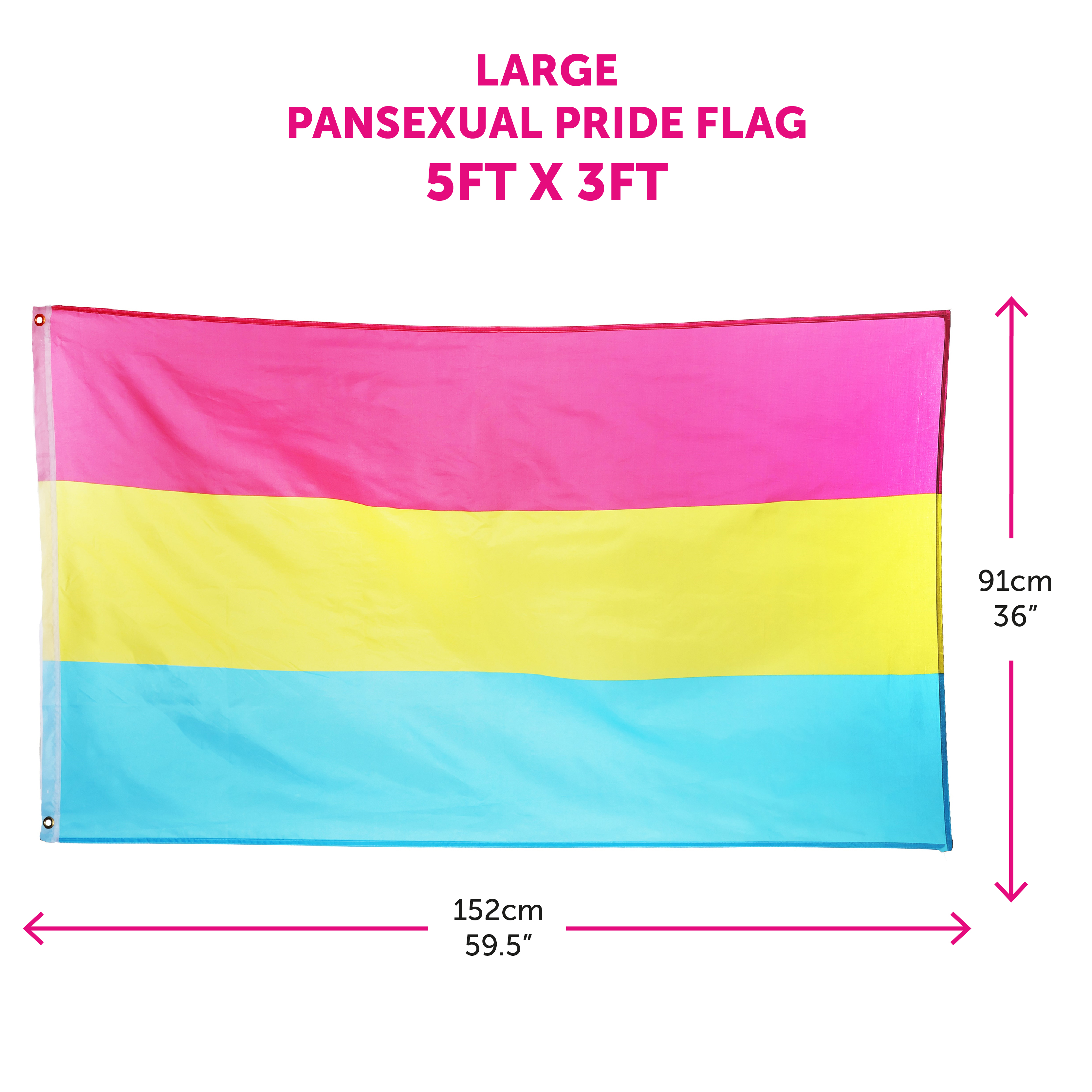 Large 5ft X 3ft Pansexual Pride Flag | I Love Fancy Dress