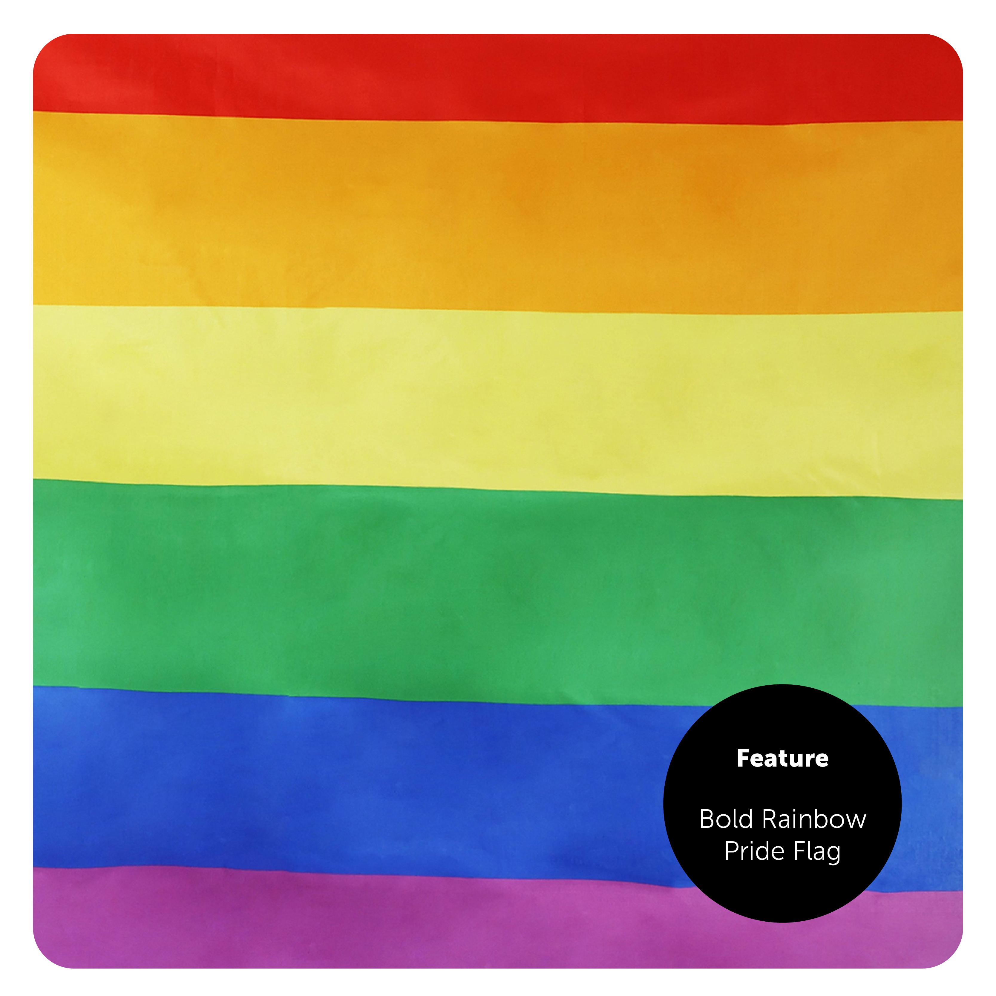 Pride Set - 5ft X 3ft Flag & Plastic Top Hat | I Love Fancy Dress