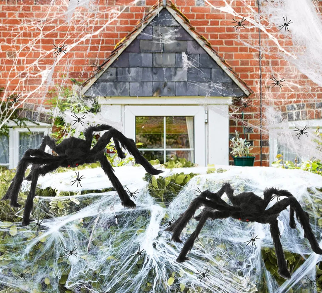 Spiders & Webs