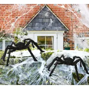 Spiders & Webs