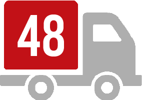 STANDARD DELIVERY icon