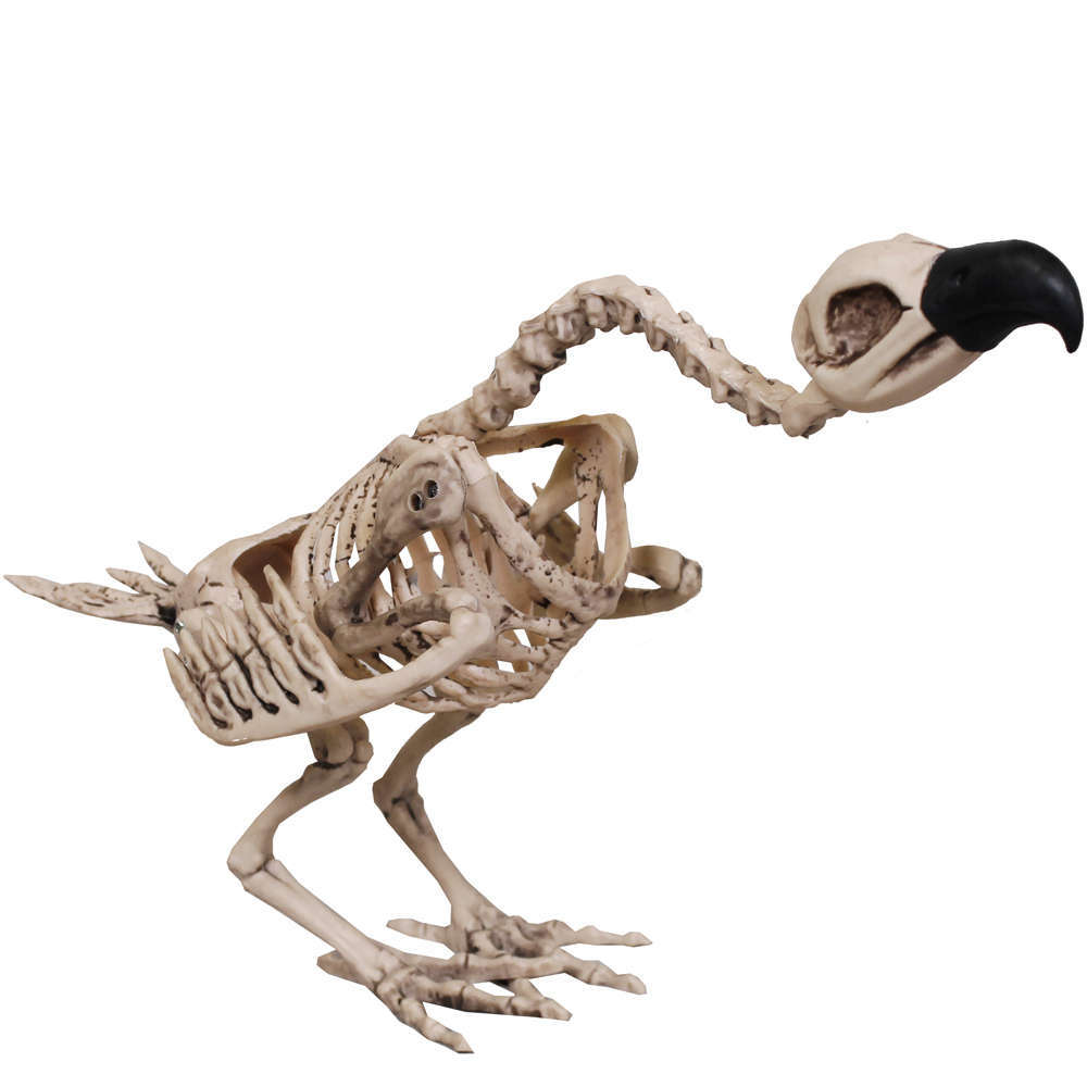 Vulture Skeleton Prop