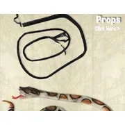Props & Decoration