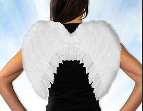 Wings