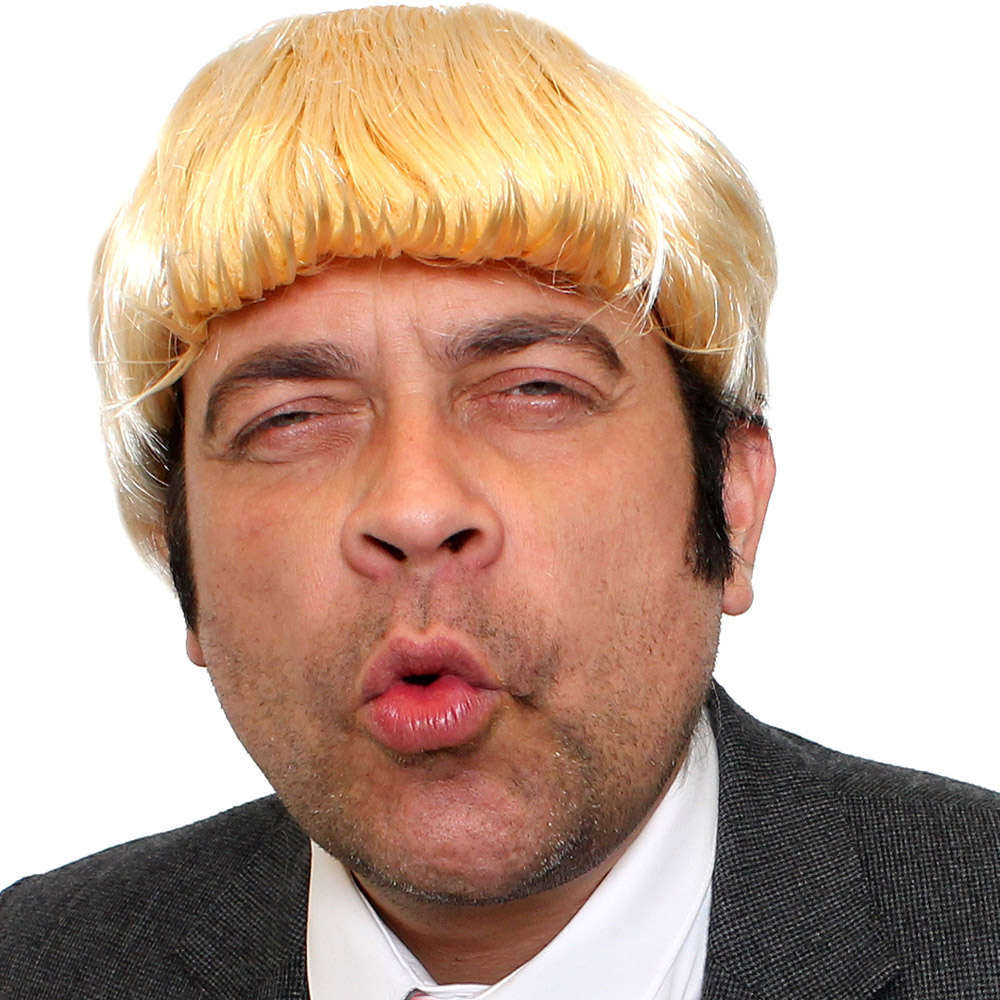 Donald Trump Wig