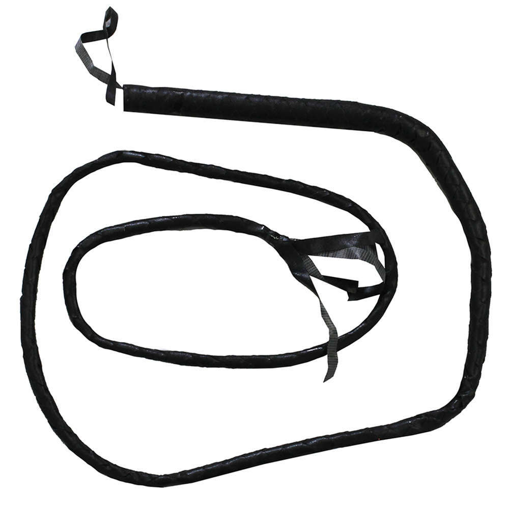 Black Leather Whip