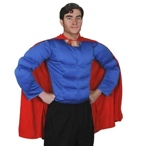 Mens Superhero Costume