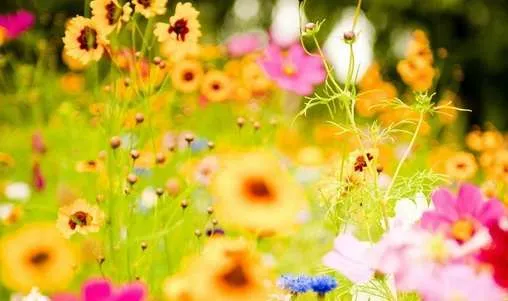 Mothers Day 2015 is Fast Approaching